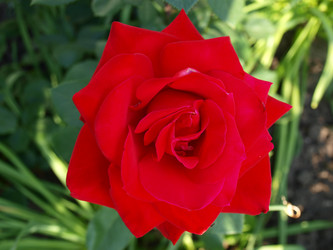 Similar image 228861