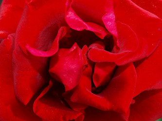 Similar image 228862