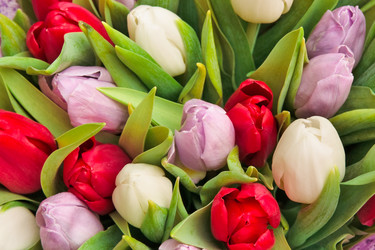 Similar image 228863