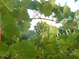 Similar image 228890