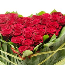 Similar image 228920