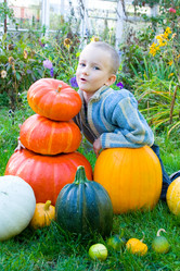 Similar image 228932