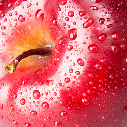 Similar image 228937