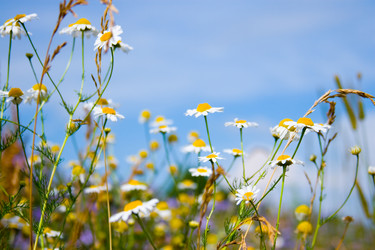 Similar image 228943