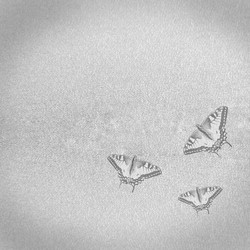 Similar image 228948