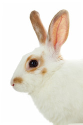 Similar image 228956