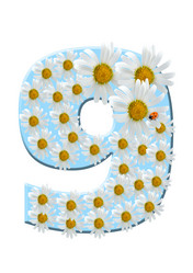 Similar image 228971