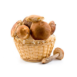 Similar image 228981