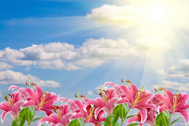 Similar image 228988