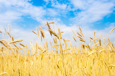 Similar image 228990