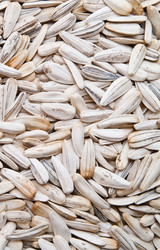 Similar image 229000