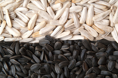 Similar image 229001