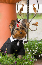 Similar image 229004