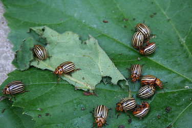 Similar image 229011