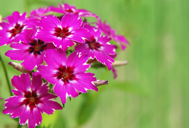 Similar image 229018