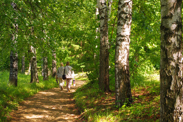 Similar image 229034