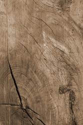 Similar image 229054