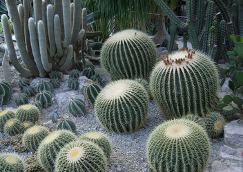 Similar image 229064