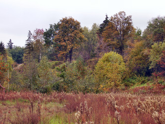 Similar image 229090