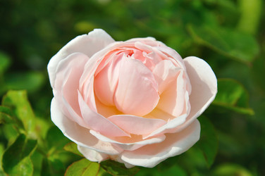 Similar image 229098