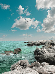 Similar image 229106