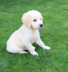 Similar image 229114