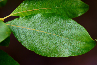 Similar image 229140