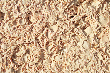 Similar image 229142