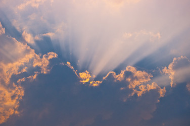 Similar image 229152