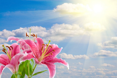 Similar image 229180