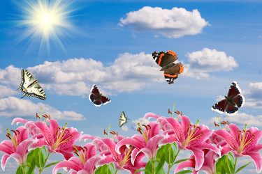 Similar image 229182