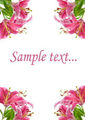 Similar image 229183