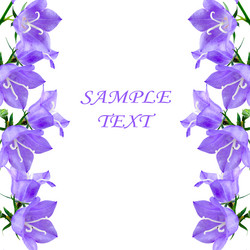 Similar image 229187