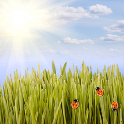 Similar image 229189