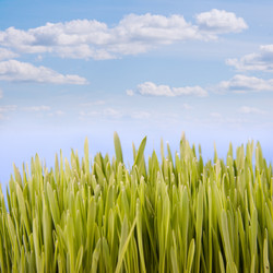 Similar image 229190