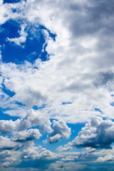 Similar image 229195