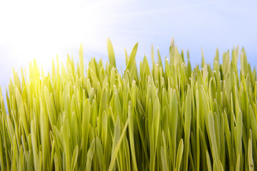 Similar image 229197