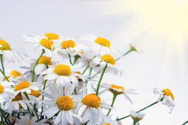 Similar image 229202