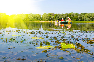 Similar image 229203