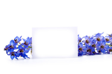 Similar image 229220