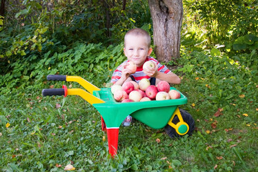 Similar image 229222