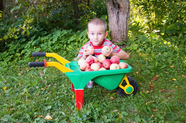 Similar image 229223