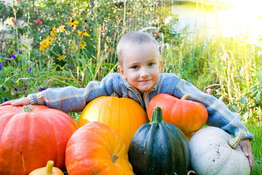 Similar image 229224