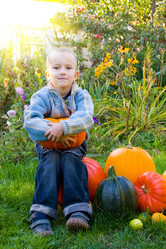 Similar image 229225