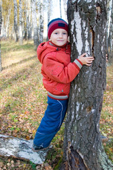 Similar image 229227