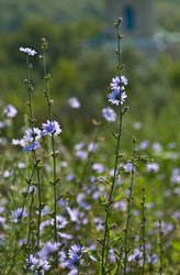 Similar image 229240