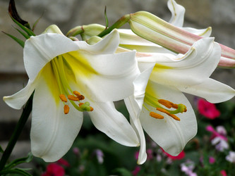 Similar image 229262