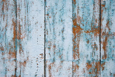 Similar image 229296