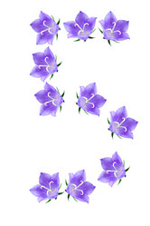 Similar image 229302