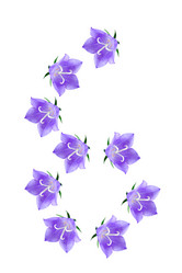 Similar image 229303